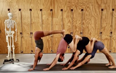 Archive: Tally Eldor | August Asana | 22-25 august 2024